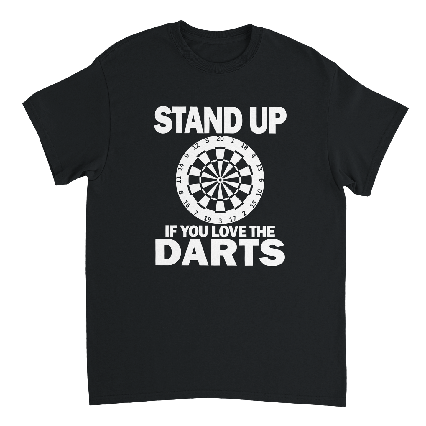 Stand Up If You Love The Darts T-Shirt
