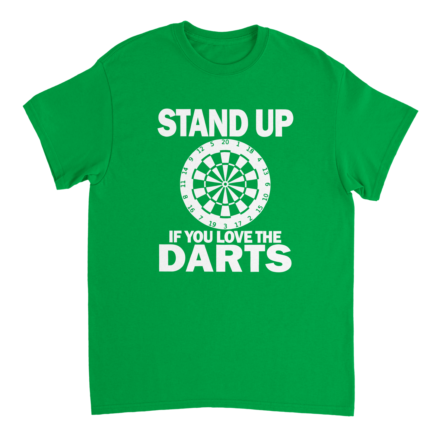 Stand Up If You Love The Darts T-Shirt