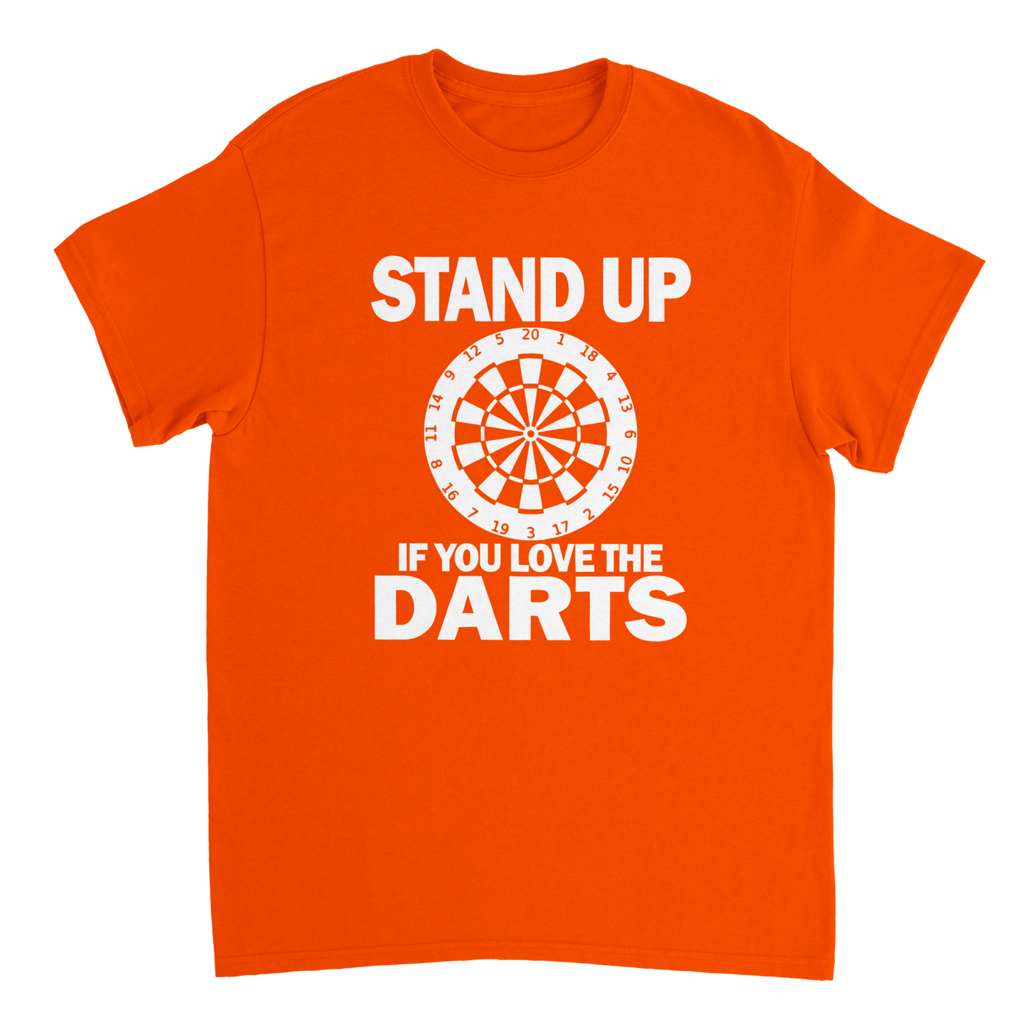 Stand Up If You Love The Darts T-Shirt